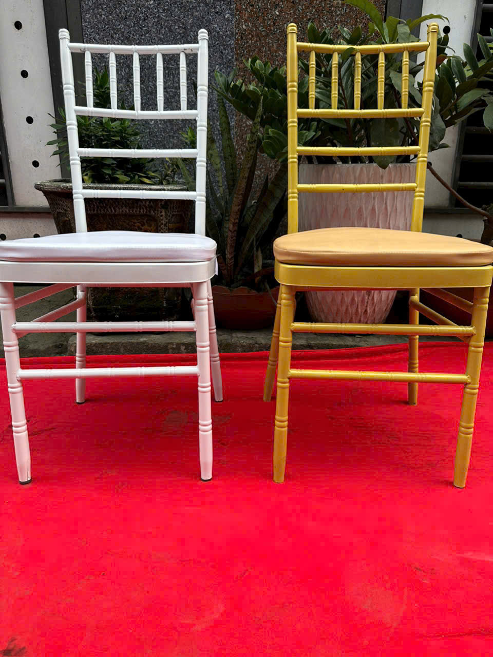 z7690321700449_94ce88e0443afe4ca9f18d5b9d2ed6e0